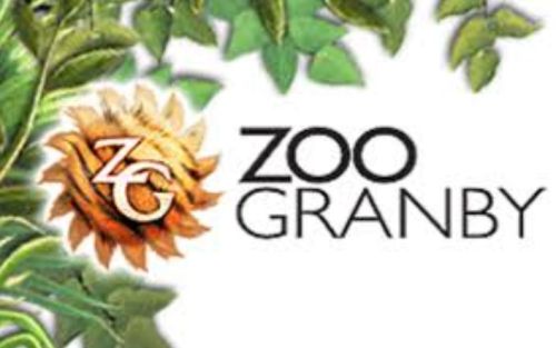 En route vers le zoo de Granby